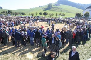150929ViehschauEinsiedeln 059